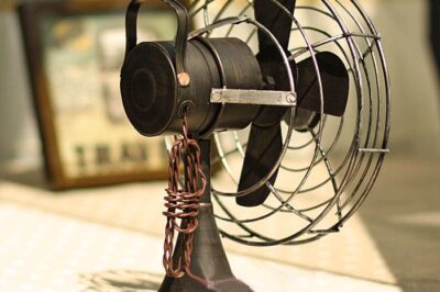 electric fan